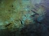 07_Fishes_at_the_fish_restaurant.JPG