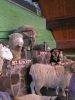 Filename=PB100023.JPG
Filesize=127KiB
Dimensions=600x800
Date added=%765 %02, %2007 PB100023.JPG