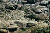 15A_0095.jpg