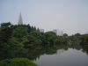 P5230154.JPG