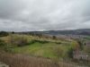 P1010198.JPG